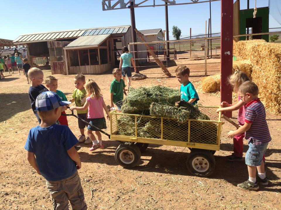 farm camp hay 2013