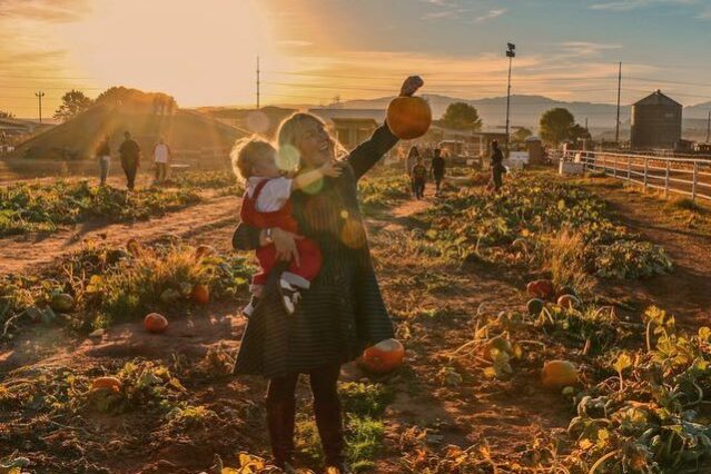 pumpkin patch fam