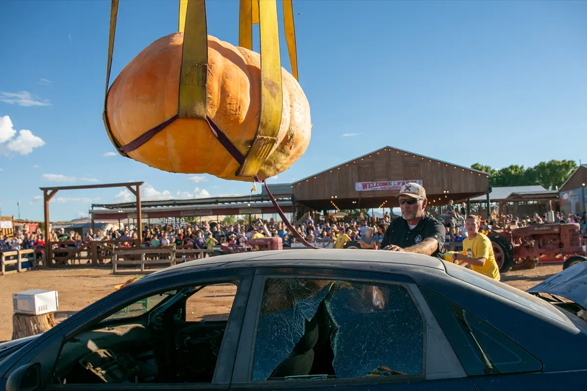 Fall Events at Staheli Family Farm